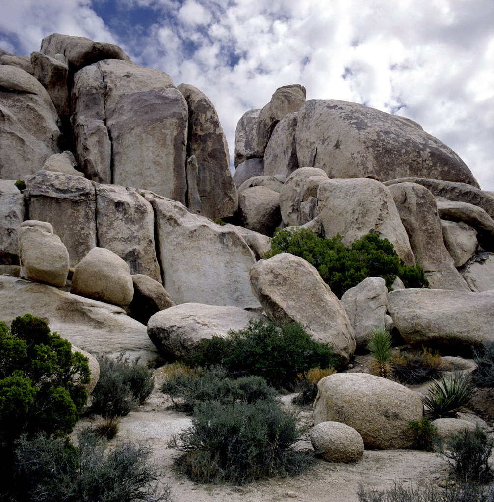 Towering Granite Wall