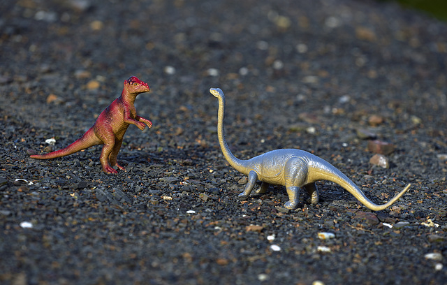 "a Pachycephalosaurus meets a young Diplodocus on carbonhill"