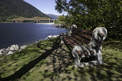 Bench in Nelson, British Columbia