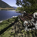 Bench in Nelson, British Columbia
