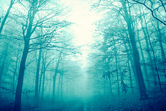 Carpathians in Cyan #3