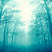 Carpathians in Cyan #3