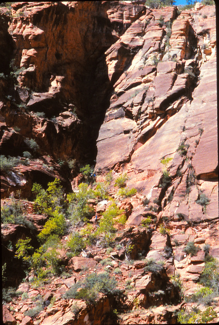 Zion National Park