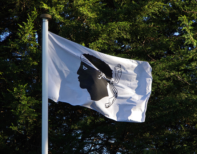 Corsican Flag