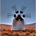 Fuerteventura - windmill at La Oliva ¦ pilago(1)