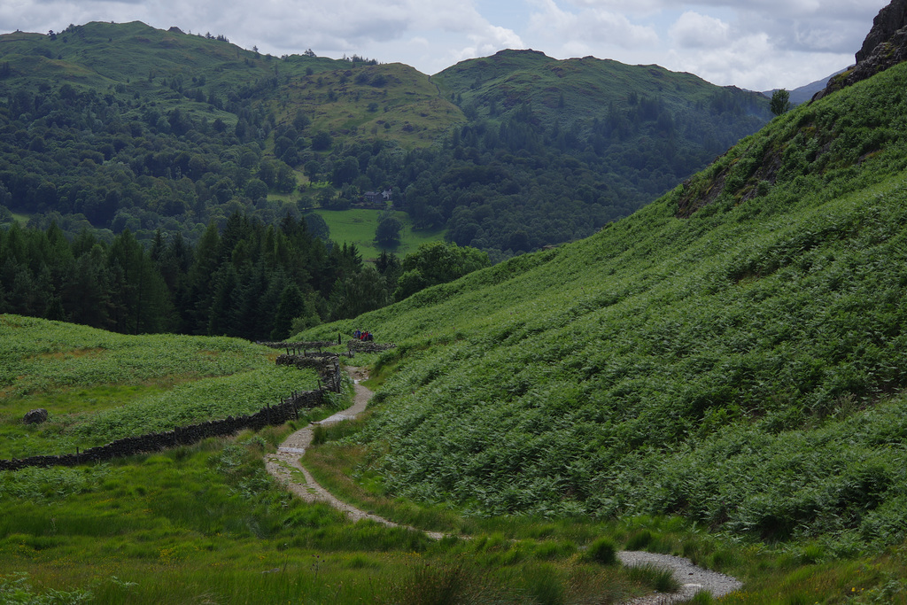 Black Crag and Holme Fell