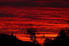 #7 - Steve Paxton - Sky on Fire - 13̊ 5points