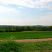 Looking towards Baggeridge from east of Park Coppice