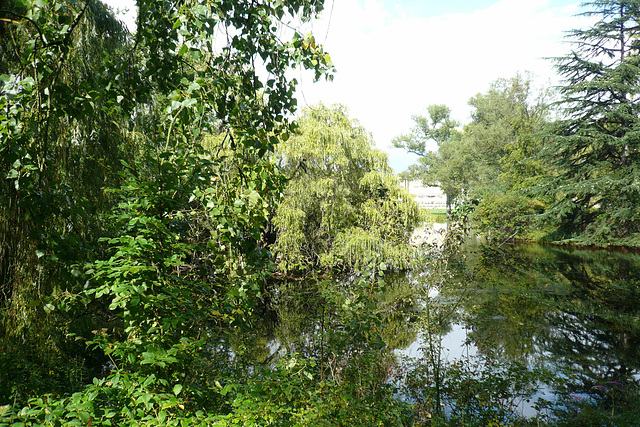 Buckingham Palace Gardens