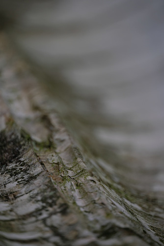 DSCF5828
