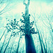 Carpathians in Cyan #2