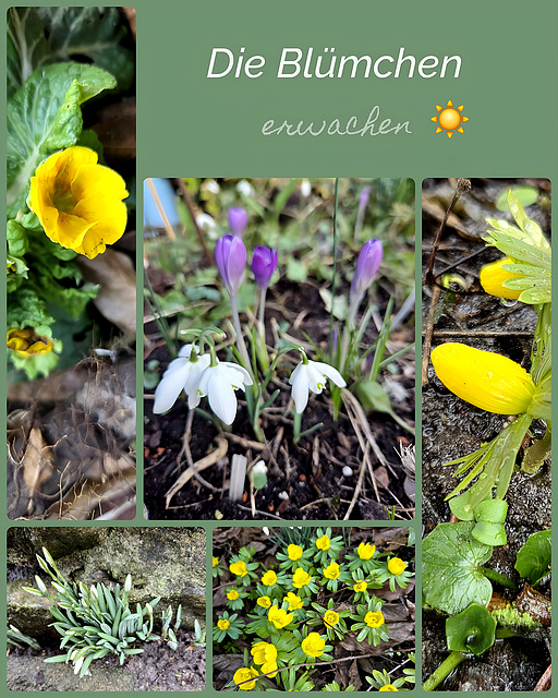Spring is coming ☀️