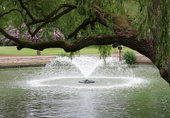 Kurpark-Springbrunnen