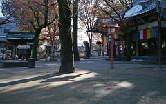 Temple in the afternoon