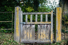 The Gate into the Cricket Field