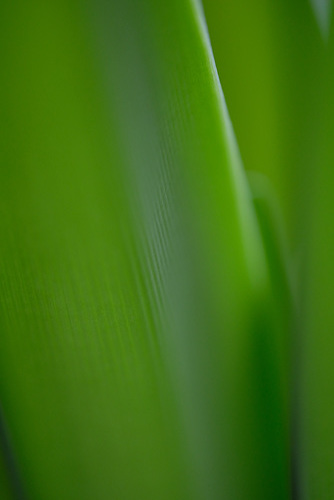DSCF4228