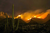 Tucson Fire