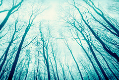 Carpathians in Cyan #1