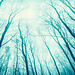 Carpathians in Cyan #1