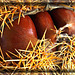 Chestnuts Chestnuts