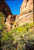 Zion National Park