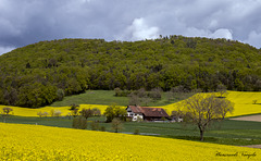 Baurnhof  in Beringen