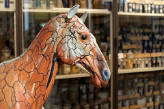 Ecorché de cheval du Dr Auzoux - Musée Fragonard de Maisons-Alfort