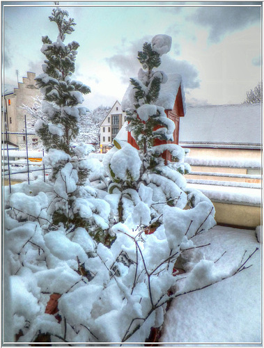 Winter im Allgäu... ©UdoSm