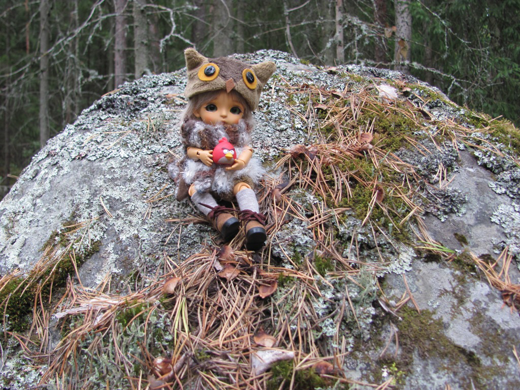 Bubo and a glacial erratic