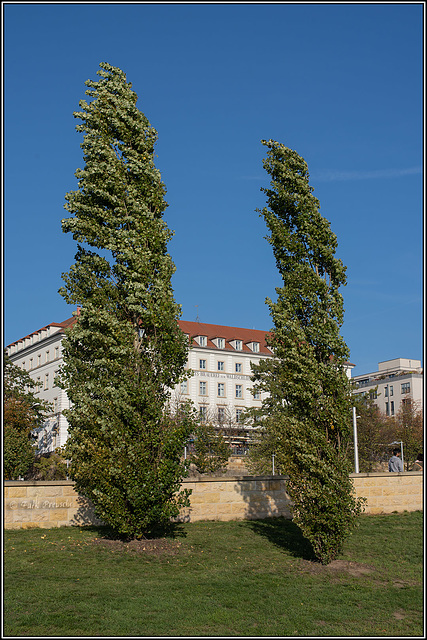 Blick zurück zur Waldschlösschen-Brauerei