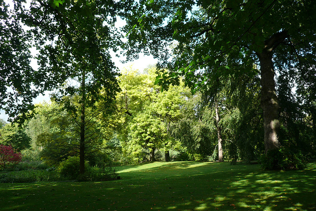 Buckingham Palace Gardens