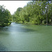 dappled green river