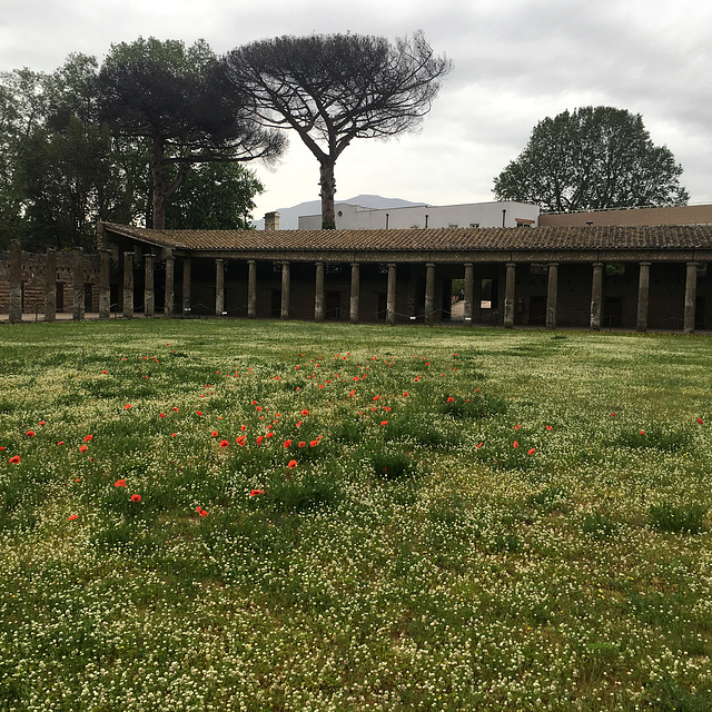 Palestra dei gladiatori.