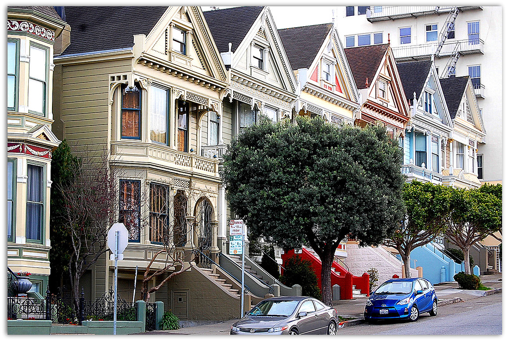 Painted ladies