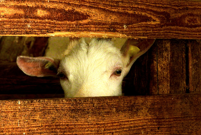 hFF...was guckst Du? :) hFF...was guckst Du? :)