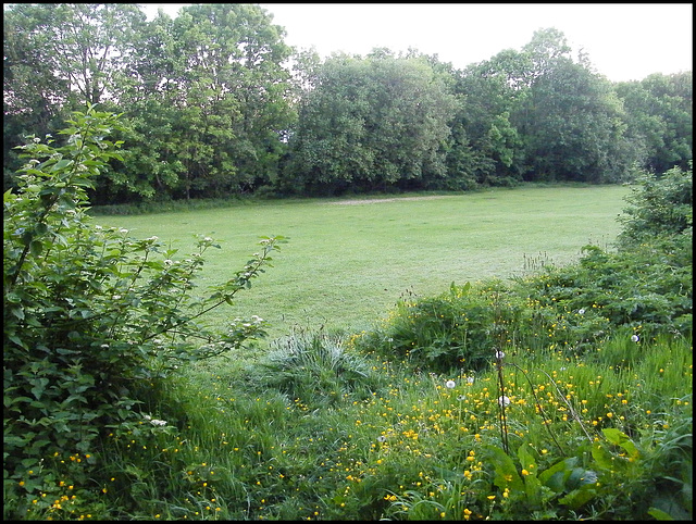 Scotch Quarry Park