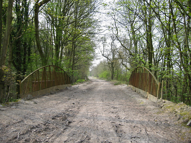 Looking along the disused rail link from Baggeridge Colliery through the Himley Estate