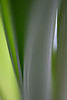 DSCF4225
