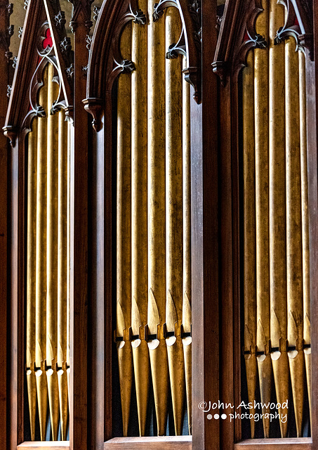 Organ Pipes