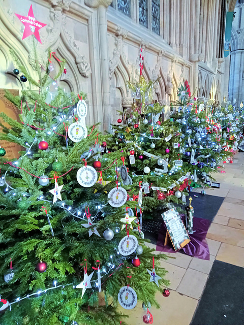 Christmas Tree Festival