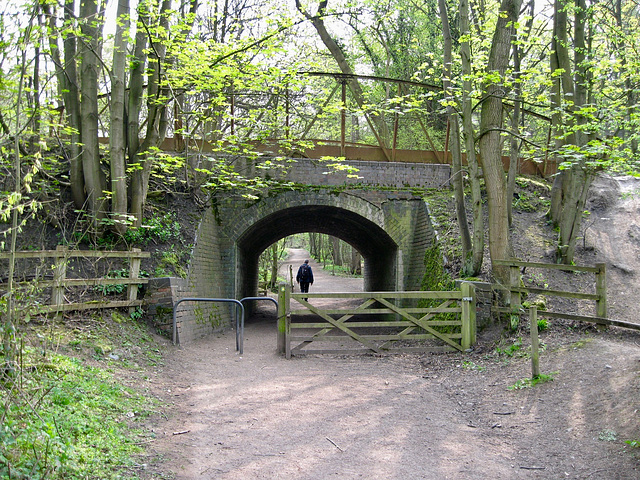Footpath under the bridge that once carried the rail traffic from Baggeridge Colliery, near White's Wood