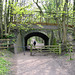 Footpath under the bridge that once carried the rail traffic from Baggeridge Colliery, near White's Wood