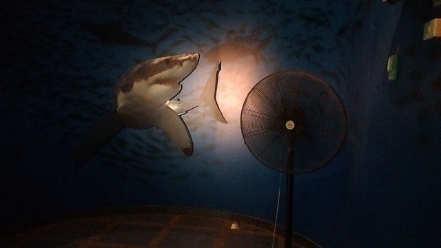 Ventilateur géant pour poissons thaïlandais / Thai aquarium huge fan