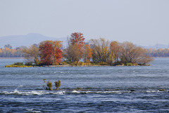 Île d'automne