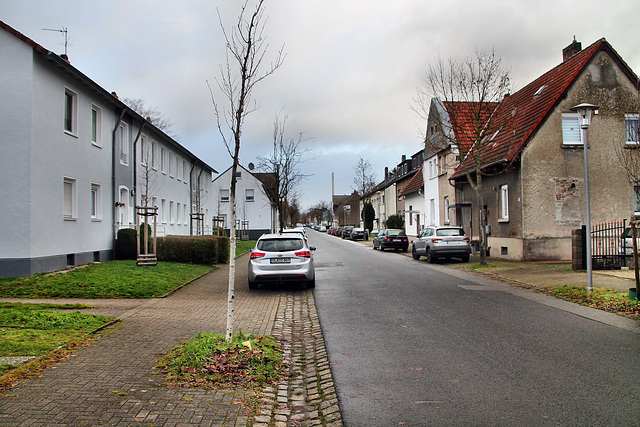 Tauschlagstraße (Gladbeck) / 24.12.2022