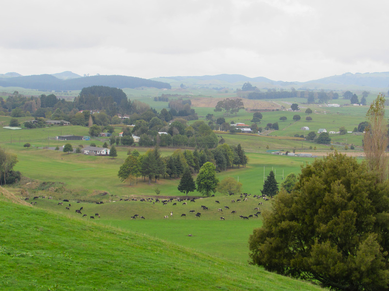 South Waikato Landscape.