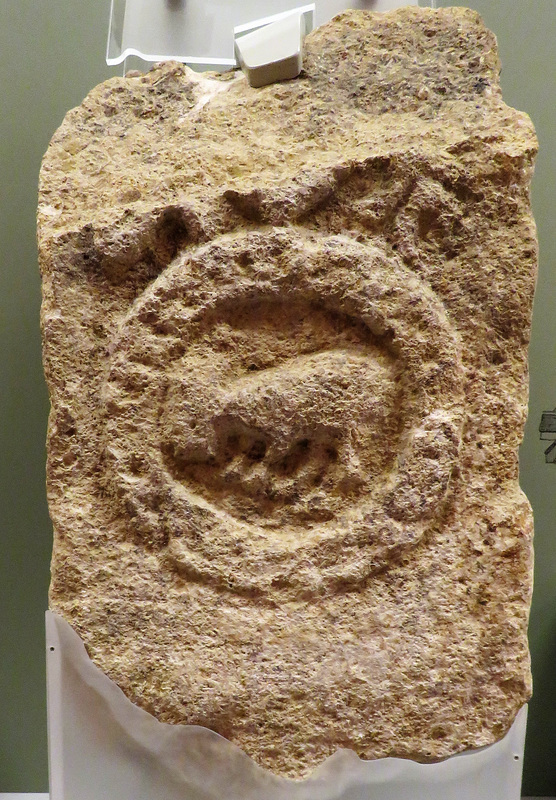 st ives museum, hunts (2)