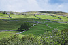 Drystone walling