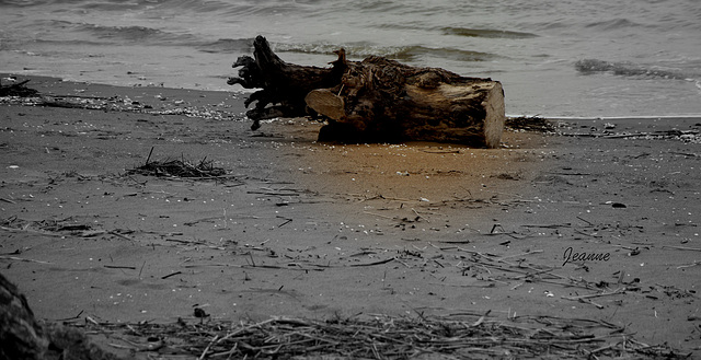 Bien seul sur la plage.Bonne journée