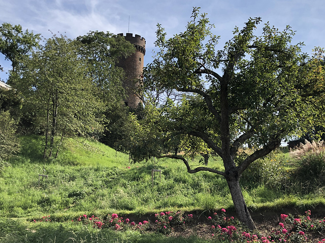 DE - Zülpich - Park an der Landesburg